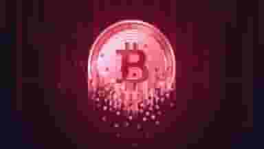 article-image