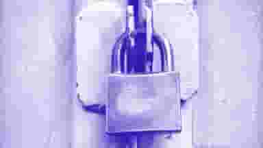 article-image