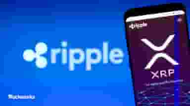 article-image