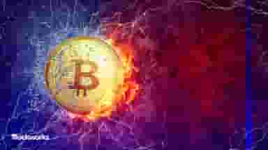 article-image