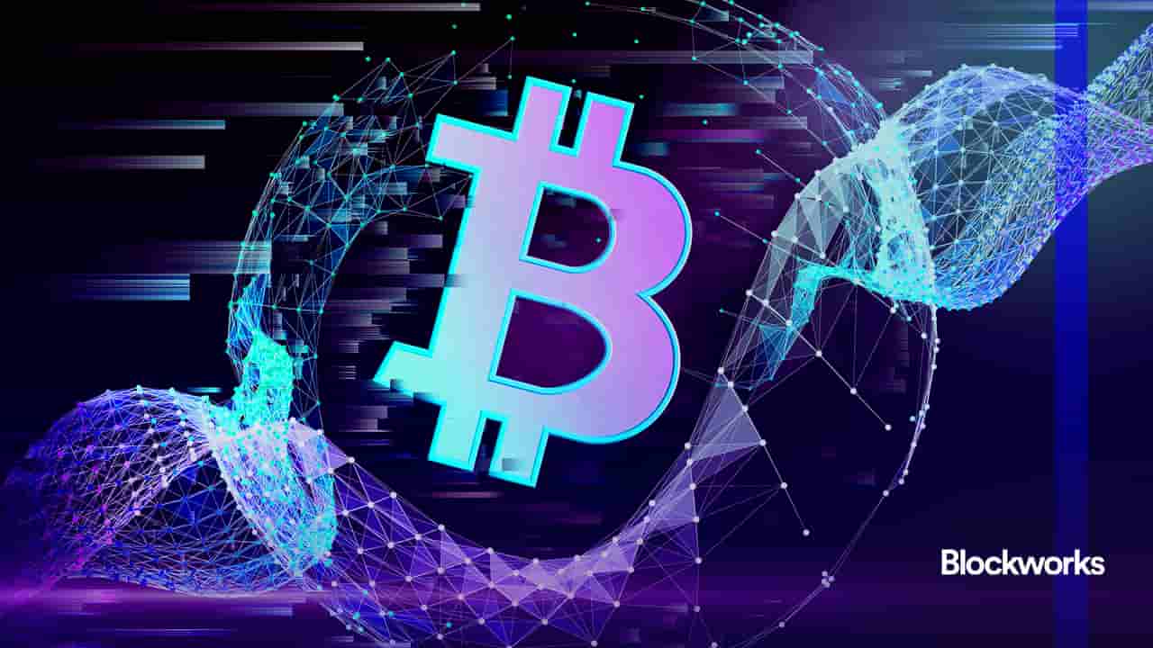 article-image
