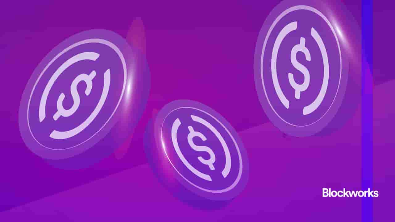 article-image