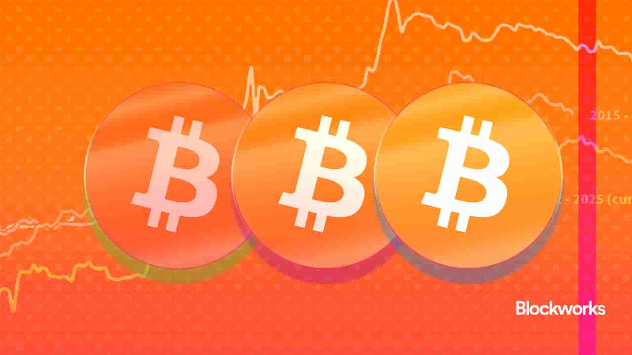 article-image