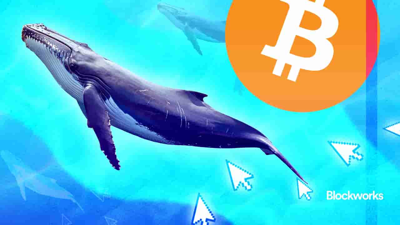 article-image
