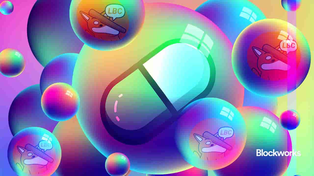 article-image