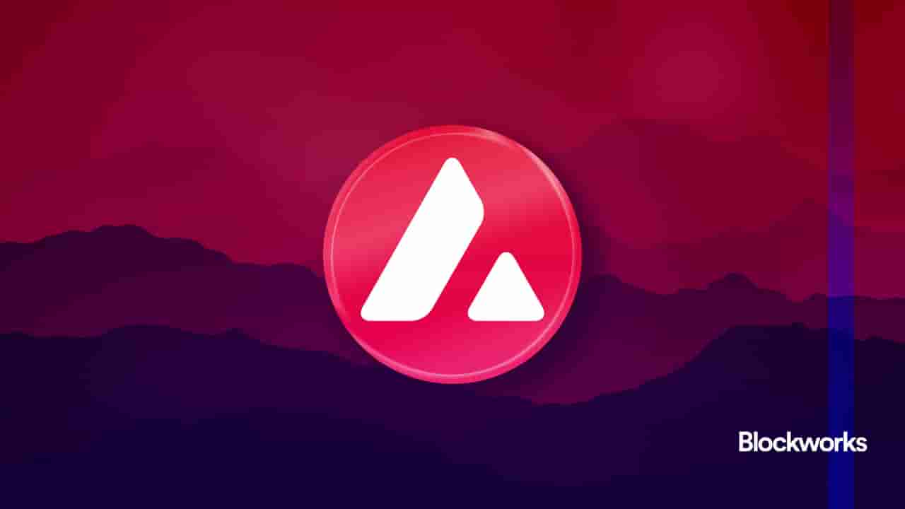article-image