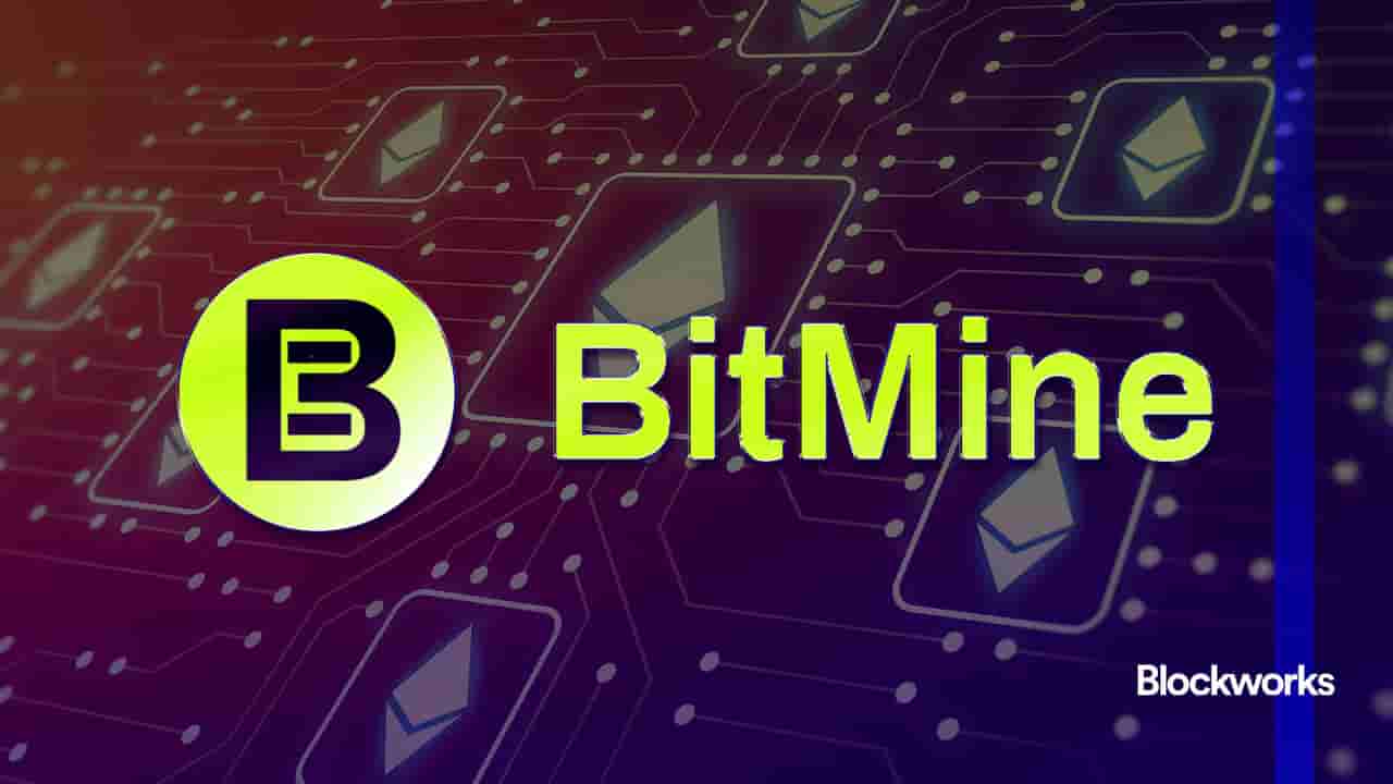 article-image