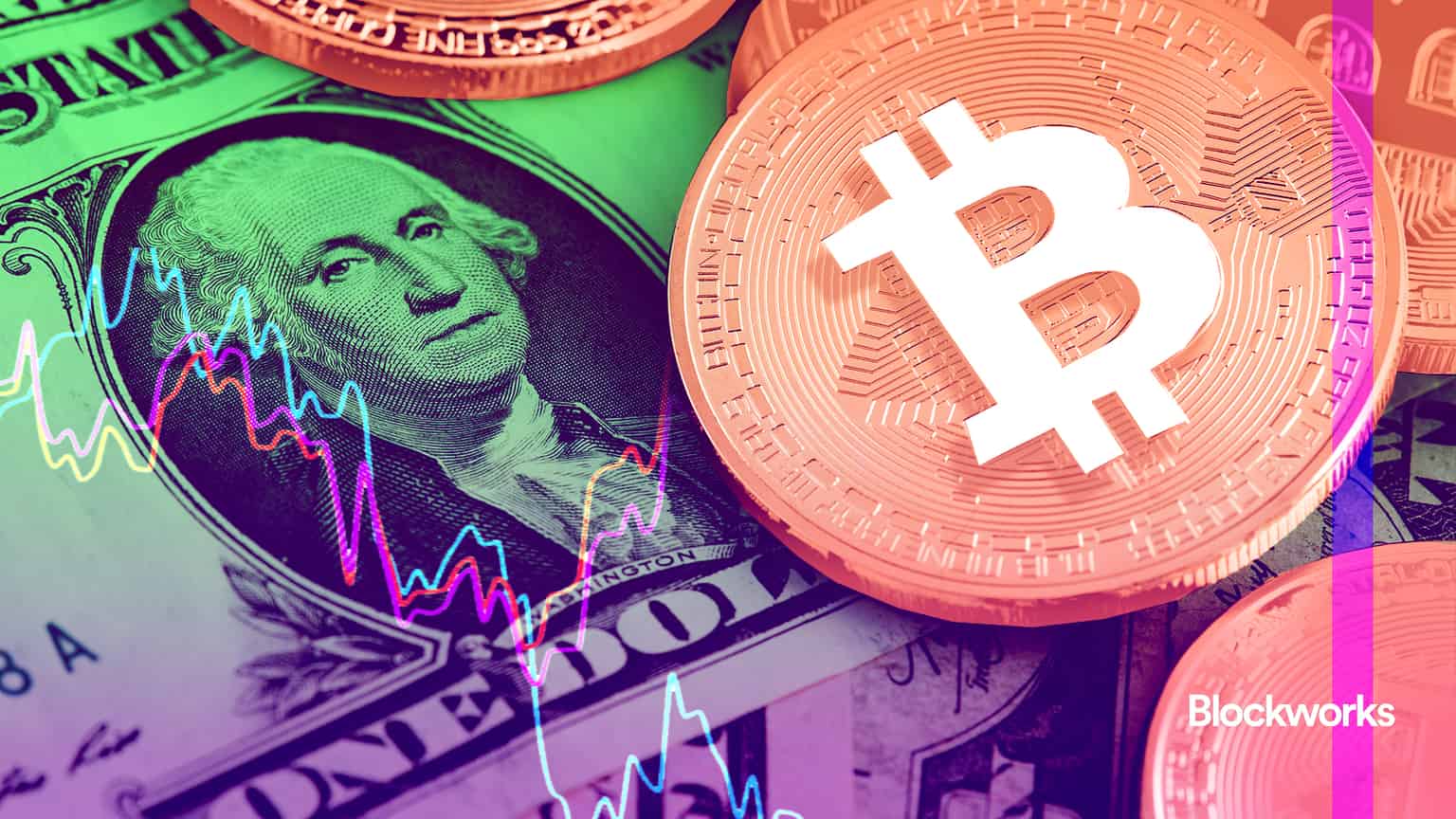 article-image