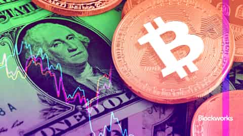 article-image