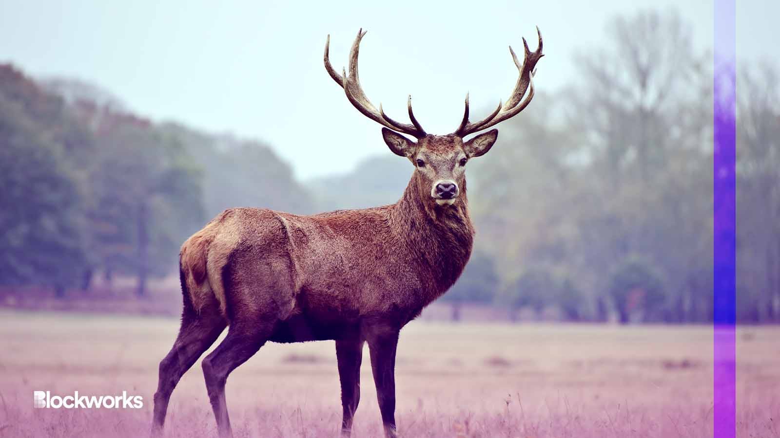 Potential world-record deer antlers could be worth $100,000