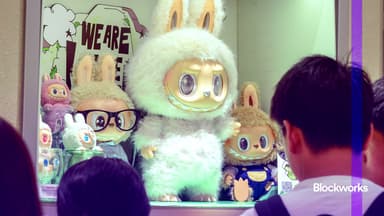 NL