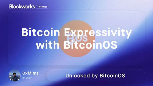 Bitcoin Expressivity with BitcoinOS