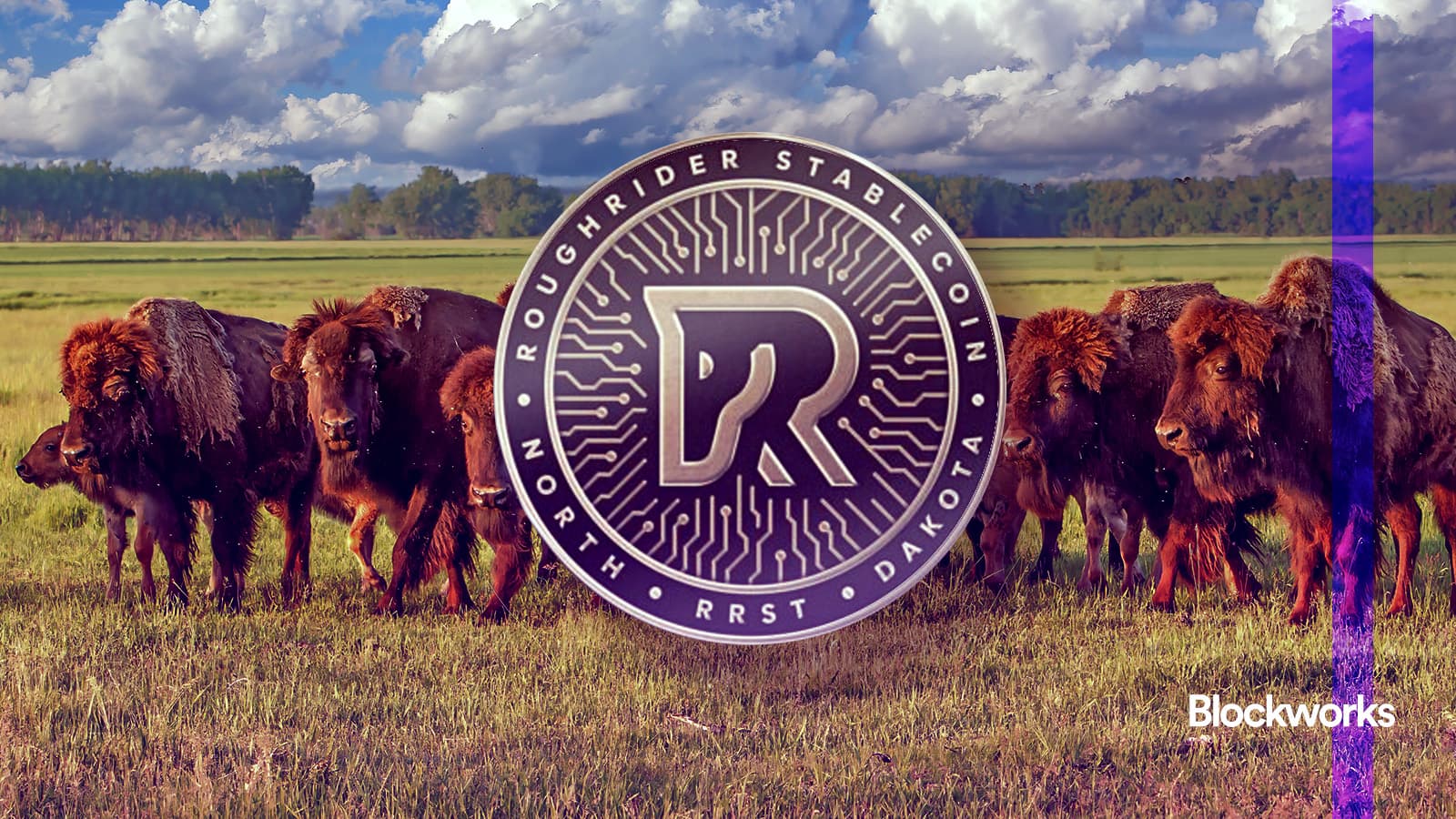 Bank of North Dakota and Fiserv to launch Roughrider Coin stablecoin