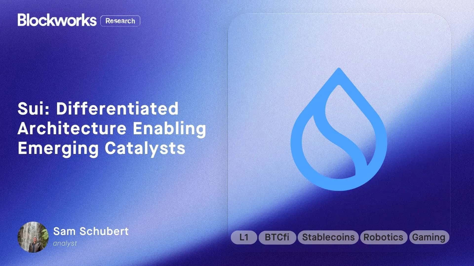 Sui: Differentiated Architecture Enabling Emerging Catalysts