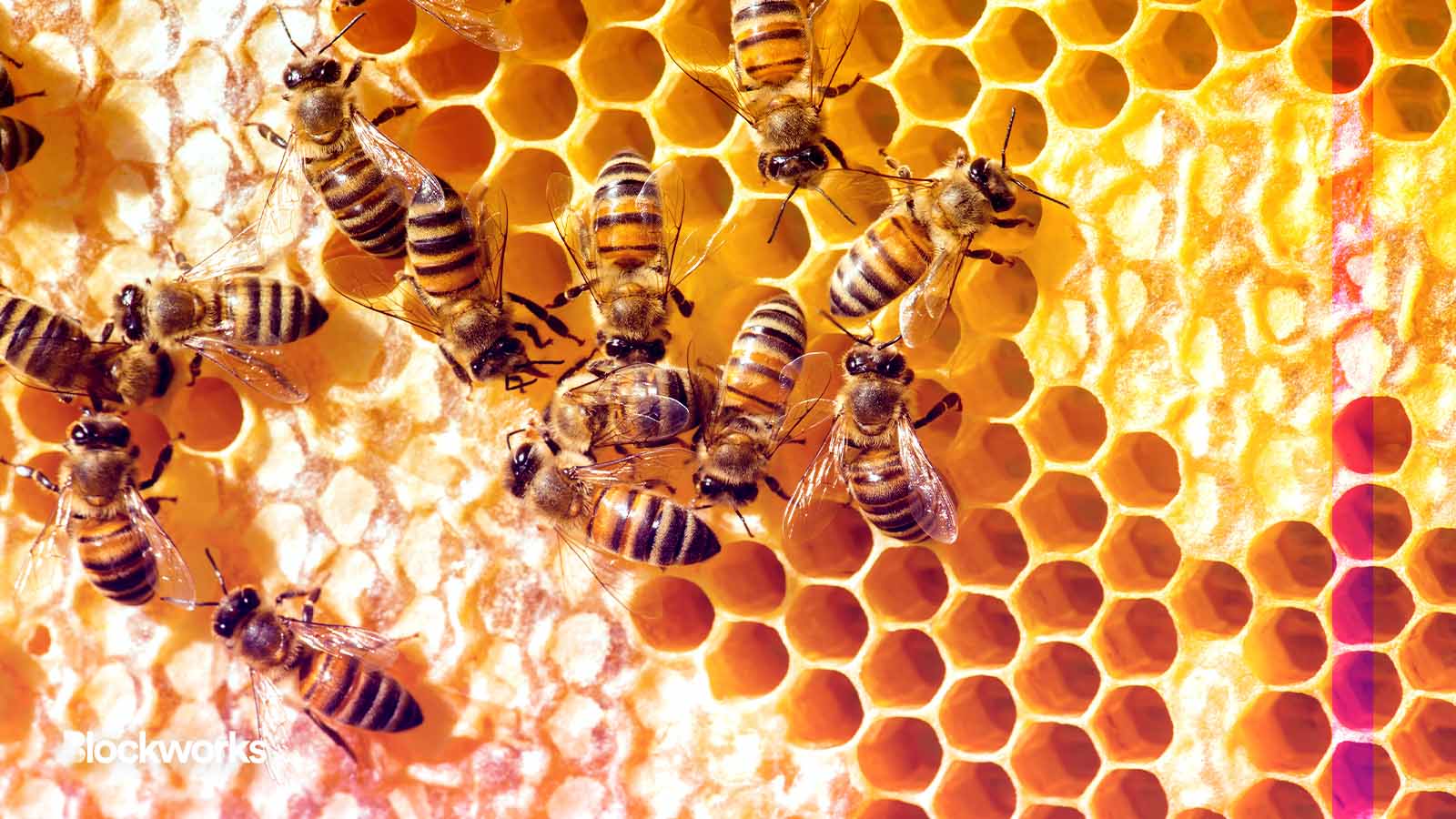 Crypto miner Hive CEO anticipates 0M annual revenue from GPU computing Crypto miner Hive CEO anticipates 0M annual revenue from GPU computing