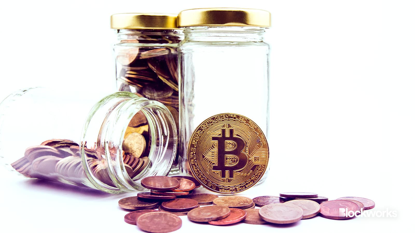 Charity campaign Crypto Aid Israel distributes funds to four organizations