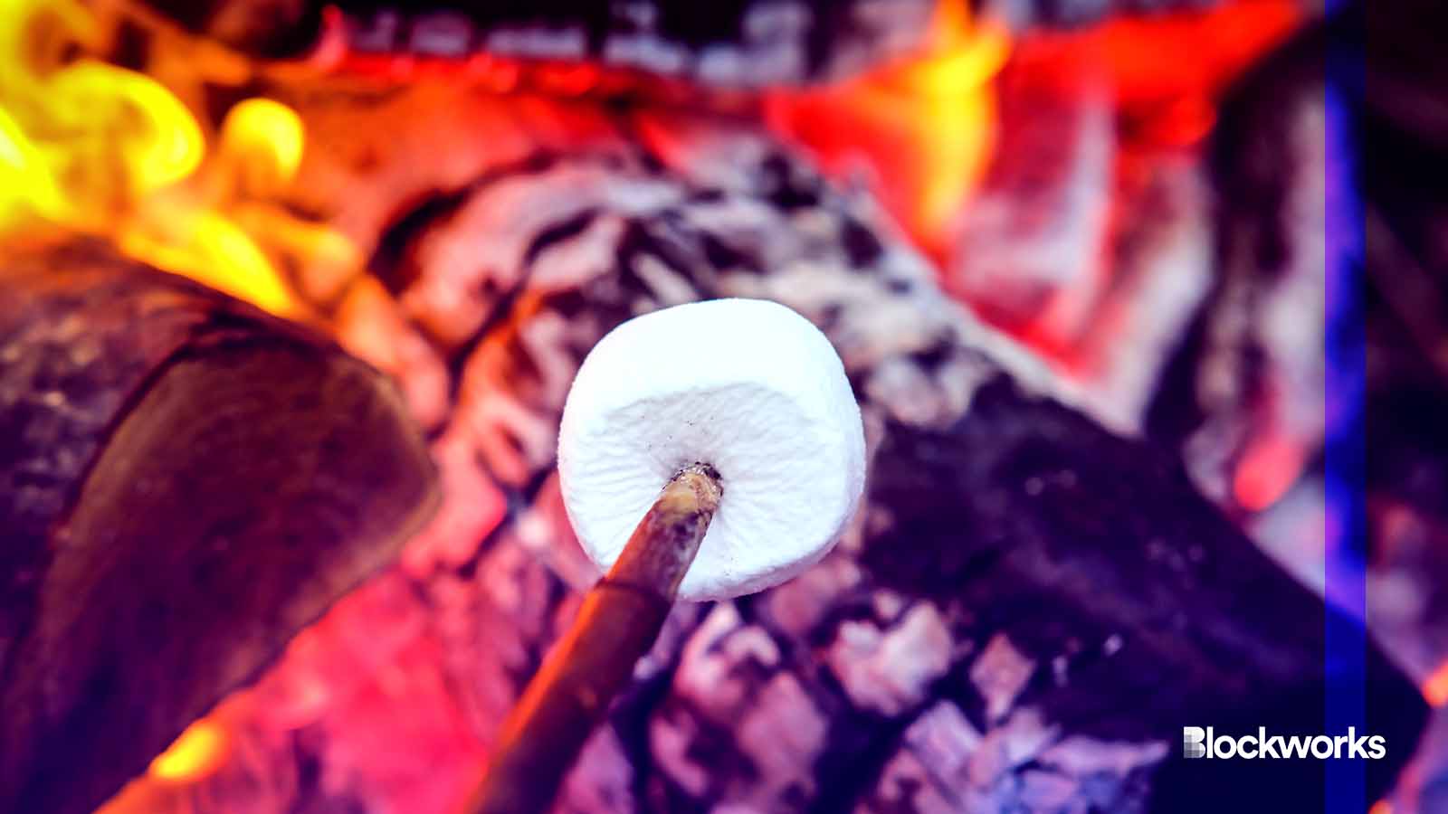 Solana ‘roast’ reveals painful truths Solana ‘roast’ reveals painful truths