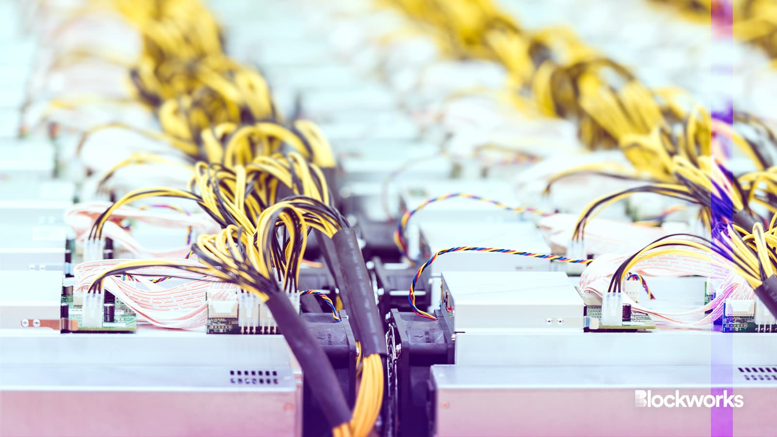 How bitcoin miners are leveraging AI post-halving How bitcoin miners are leveraging AI post-halving
